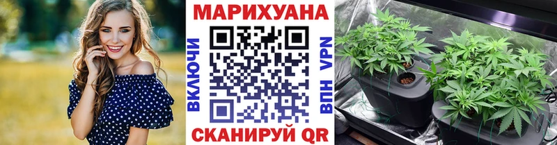 Шишки марихуана план  Агидель 